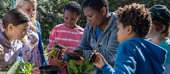 Young people potting plants